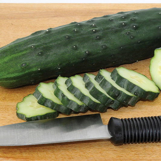 Cucumber - Marketmore Slicing - Organic
