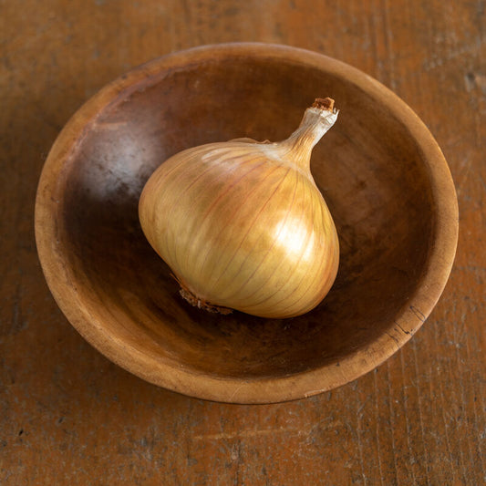 Onion - Sweet Yellow Walla Walla