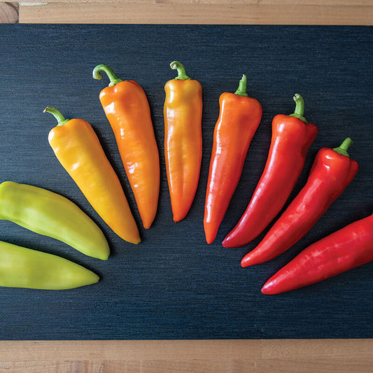 Pepper - Hungarian Hot Wax - Certified Organic