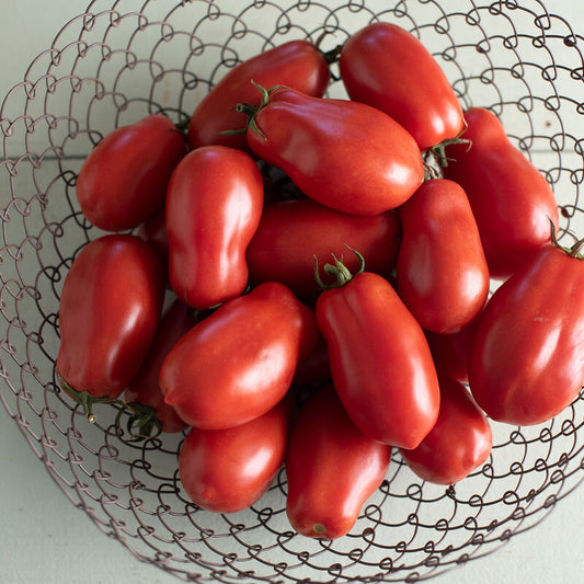 Tomato - San Marzano - Certified Organic