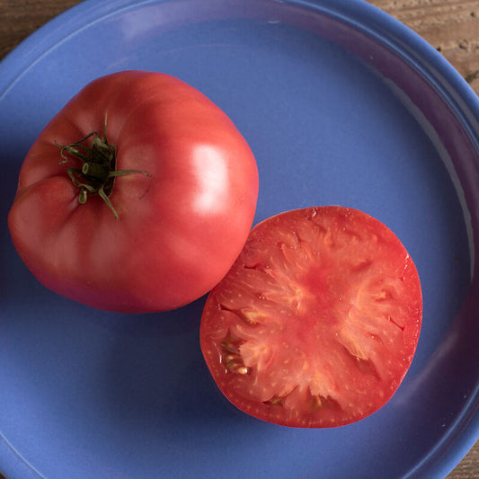 Tomato - Brandywine - Certified Organic