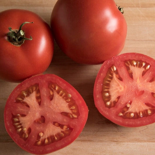 Tomato - Nepal - Certified Organic